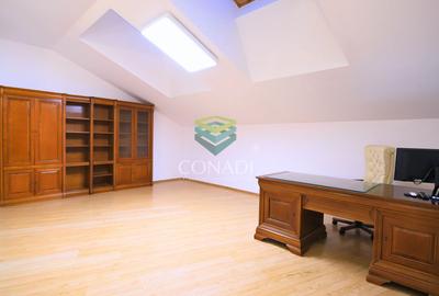 Iancu Nicolae - Vila de vanzare cu 5 camere si 1.000 Mp. de teren - 11