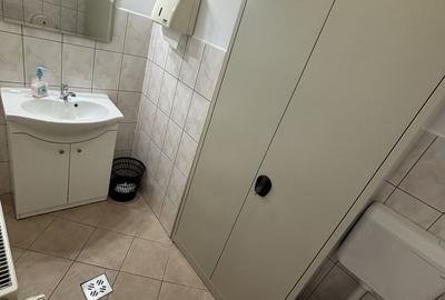 Hală,birourii/depozitare în zona Lugojului - 3