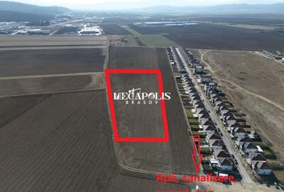 Teren 12.500 mp Ghimbav – Cartierul Florilor | Ghimbav | Brașov - 3