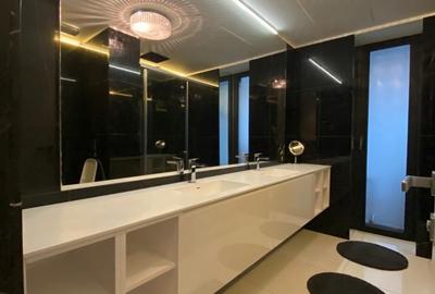 Apartament unic Primăverii - Piața Charles De Gaulle - 20