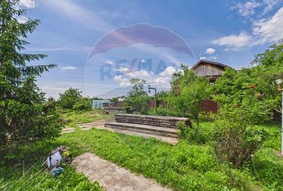 Casă 65 mp + teren 4000 mp, livadă, Butimanu - 19