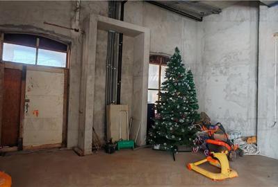 Vila somptuoasa, 10 + camere, S+P+1, 1100mp utili, cu toate utilitatile, in  sec - 7