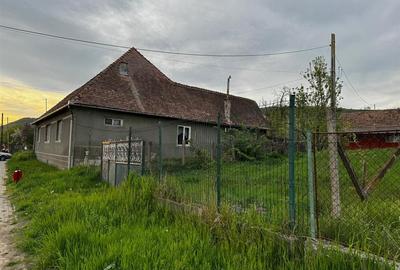 Teren de vanzare 8114 mp si  casa   in Coroisanmartin-Mures - 1