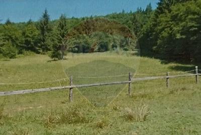 Poienita 2800mp, Covasna, zona hotel Clermont, inconjurat de padure - 1