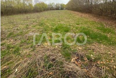 Teren intravilan pentru casa zona linistita 550 mp front 21 m Cisnadie - 4