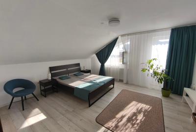 Dumbravita apartament la casa 600 euro - 12