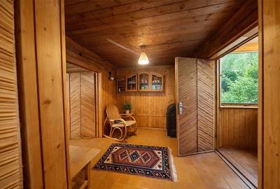 FILM &Tur LIVE! Casa de vacanta, intr- o ariere admirabila,Lunca Bradului - 8