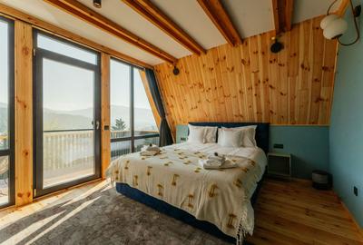 Afacere la cheie in Vatra Dornei, 2 cabane tip A Frame! - 18