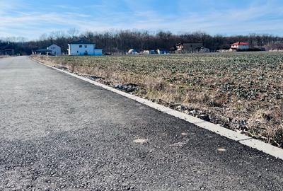 Teren Ciofliceni lângă pădure,Utilități complete Comision 0 - 7