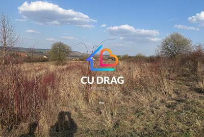 Teren intravilan cu toate utilitatile si drum amenajat Daia - 3
