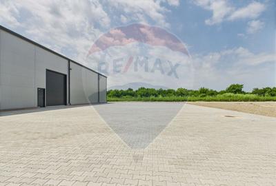 Spațiu industrial de 600mp de închiriat în zona Traian - 21