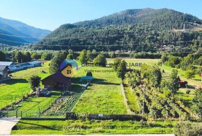 TEREN intravilan 3600 mp  PÂNGǍRAȚI - PRELUCA - 7