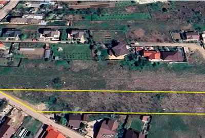 Teren intravilan 5.293 mp-deschidere 42m–Domnesti Ilfov, utilitati la limita - 1