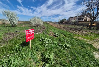 2 loturi de teren extravilan Bolintin-Deal 7800 mp și 2500 mp Preț negociabil - 1