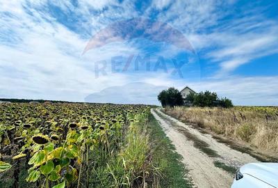 Teren 14.863mp, deschidere 42mp, acces 3 laturi - Ciorogarla, langa A0 - 8