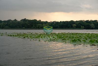 Oportunitate-Teren Snagov cu Deschidere Directa Lac si Padure 12.135mp - 1