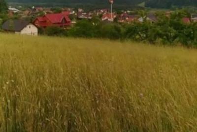 De vânzare o parcelă pentru casă sau cabană - 2