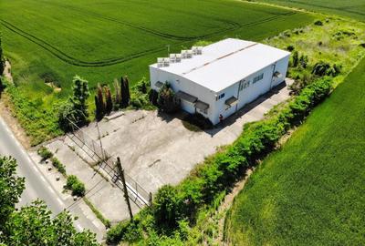Depozit de vanzare si teren 2000 mp - 4