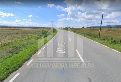 Teren intravilan | 10000 mp | 36 ml deschidere | Vintu de Jos - 2
