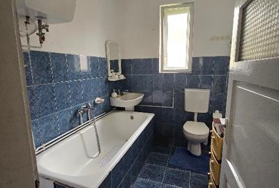 Aproape de Marginimea Sibiului, casa in inima unui parc - 10