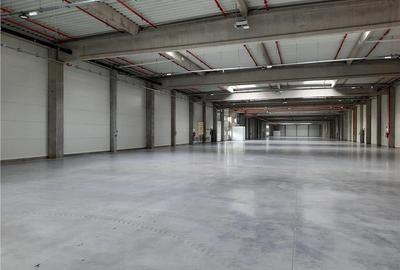 Spatiu Industrial - 2500  mp - Productie - Depozitare - 9