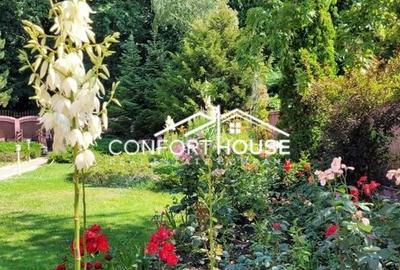 VILA D+P+E+M, 12 camere, piscina , padure, IANCU NICOLAE - 8