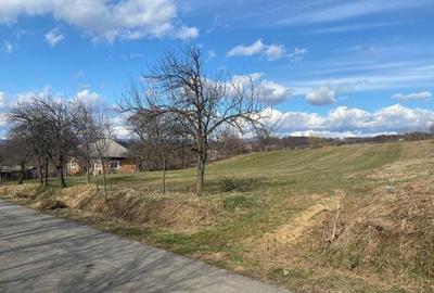 Teren Intravilan 800mp Carlig-Vanatori - 1