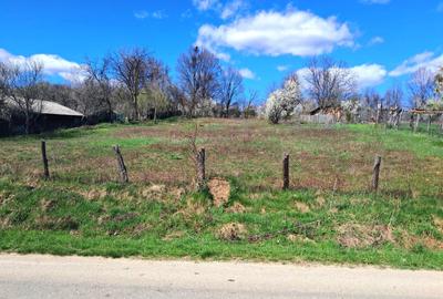 TEREN INTRAVILAN ȘI EXTRAVILAN POLOVRAGI - 1