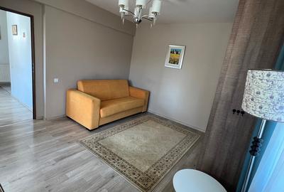 Inchiriere Studio 45mp Ioan Socec , Coresi - 8