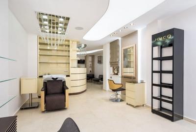 Vila Superba - 8 Parcari - Curte 250 MP - Mobilata LUX - Ocazie rara - 2