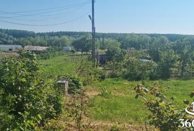 Casă de vânzare - Delta dunării Mahmudia - 5