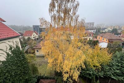 Penthouse cu 5 camere si terasa cu view de inchiriat in Grigorescu - 8