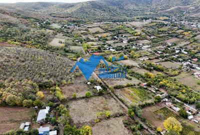 Teren intravilan NICULITEL, zona deosebita, 3044MP - 2