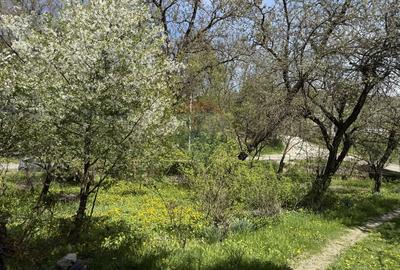 Casă  de vânzare în zona Câmpulung înconjurată de natura - 18