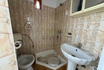 Casa, D+P+1+M , 240 mp, Cartier Valea Rosie, Zona Liceul Traian Vuia - 17
