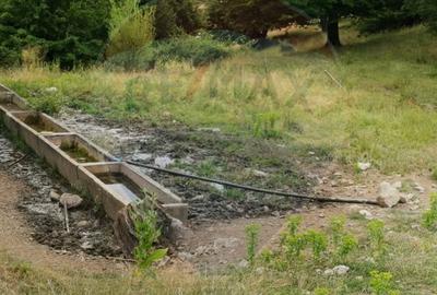 Teren aproape de pădure, situat într-o zonă aerisită - 11