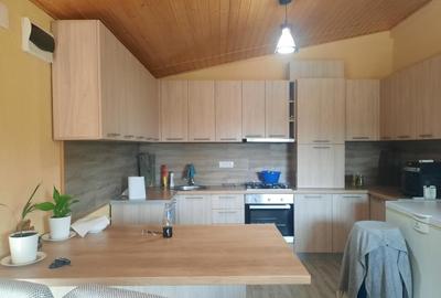 FARA COMISION casa 4 camere 2 bucatarii 2 puturi beci livada 1500mp SAU 3300mp - 28