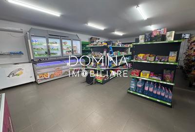 Vânzare spațiu comercial cu teren 1.077 mp, la doar 50 m de DN 67 – Câlnic - 4