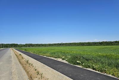 SCROVISTEA, TEREN INTRAVILAN, 3,5 HA – 75 ML FRONT STRADAL + 75 ML LA PĂDURE - 5