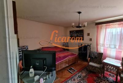 Proprietate individuala-3 apartamente,spatiu comercial,garaje,gradina,curte - 8