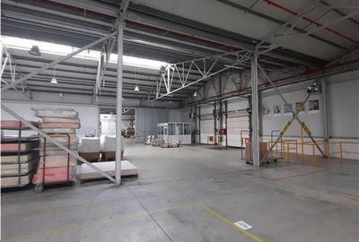 Spatiu Industrial - 6500 mp - Productie - Depozitare - 10