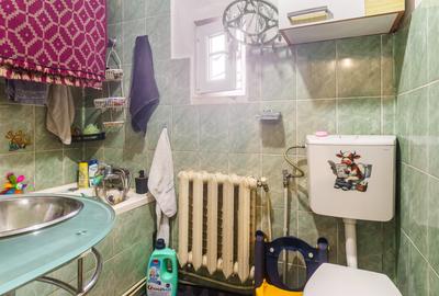 Casa de vanzare in Dambul Rotund-Corneliu Coposu, teren 450 mp, comision 0! - 10