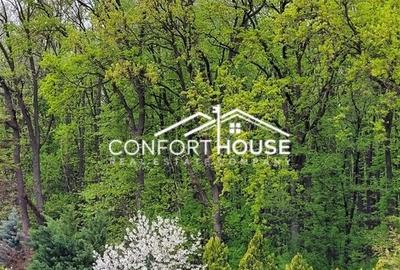 VILA D+P+E+M, 12 camere, piscina , padure, IANCU NICOLAE - 34