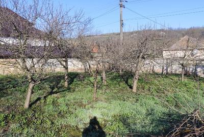 Vand casa Loc. Ohaba, jud. Alba - 15