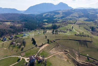 🌿 Teren Intravilan 3.791 mp | Priveliște Panoramică Superbă | Poiana Mărului - 25