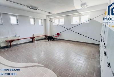 Hala industrială la cheie 2760mp teren 13.000mp, Fântânele Jud. Arad - 9
