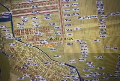 De vanzare 3 loturi teren intravilan, 1200 mp suprafata totala, Tunari, Ilfov - 10