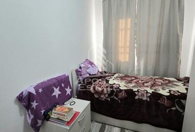 Casa individuala de vanzare cu 4 camere si garaj in Sag, vatra satului - 9