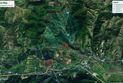 PADURE de vanzare - Berca -Buzau - 1