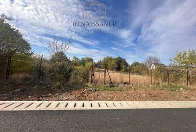 Giarmata Teren 1889mp Front 27.5m Pretabil Duplex/Triplex - Asfalt - 1